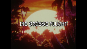 Episode 13 — The great escape