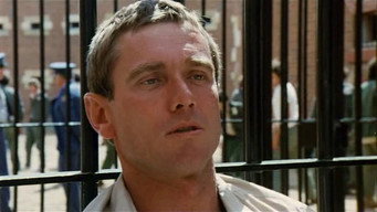 Hoodwink (1981)