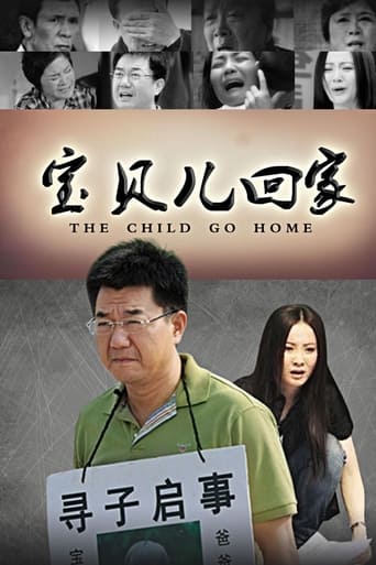 Poster of 宝贝儿回家