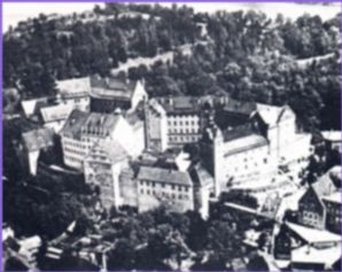 View Image