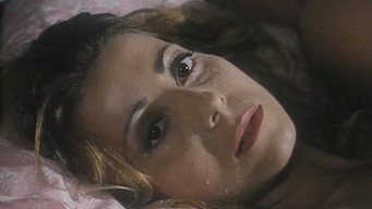 Provocation (1995)