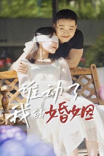 谁动了我的婚姻 poster