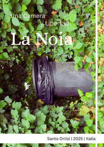 Poster film La noia