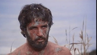 #22 The Odyssey