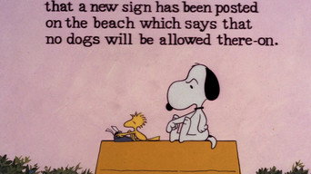 #14 Snoopy Come Home