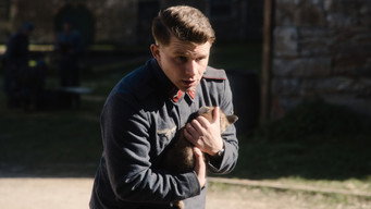 The Fox (2022)