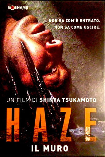 Haze - Il muro (2005)