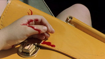 #4 The Violent Professionals