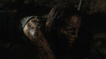 Galeria 1 - After She Wakes