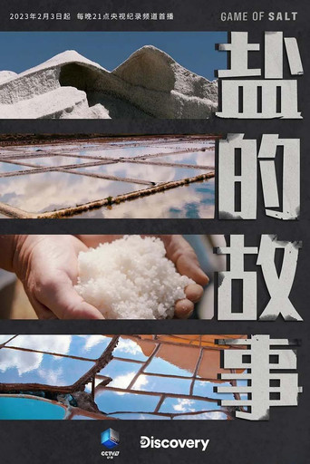 盐的故事 poster