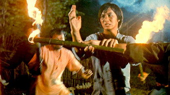 Татуйований дракон (1973)