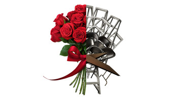 WWE TLC: Tables, Ladders & Chairs (2013)