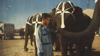 #8 3 Ring Circus