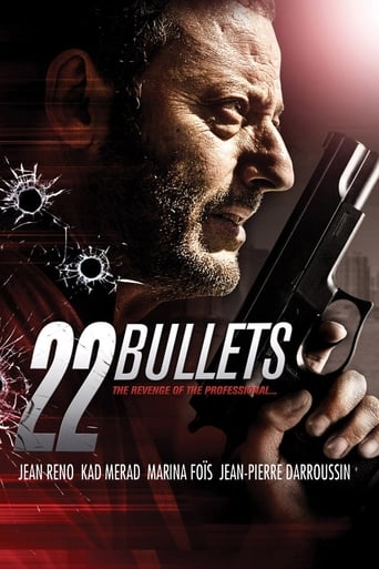 2010 22 Bullets