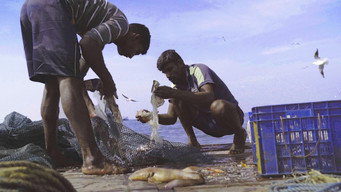 Against the Tide (2023)