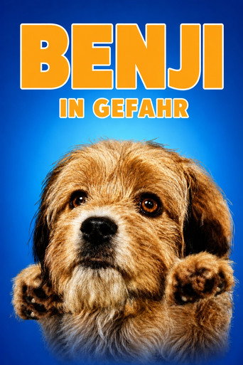 Benji in Gefahr