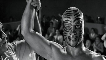 #1 Los tigres del ring