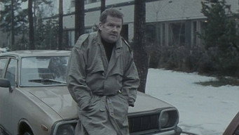 Isku vasten kasvoja (1988)
