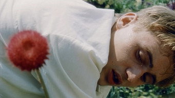 Яма (1985)