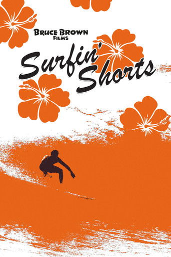 Surfin' Shorts poster 6