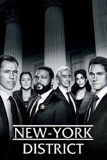 New York, police judiciaire — affiche alternative