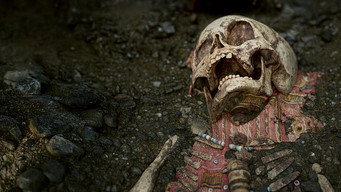 Buried Evidence (2026- )