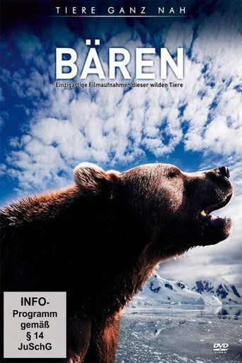 Bären galeri 1