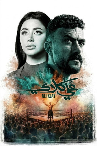 Poster 9