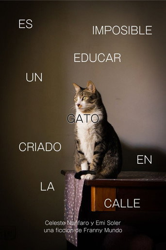 Es Imposible Educar Un Gato Criado en la Calle (1970)
