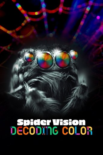 Spider Vision: Decoding Color (2024)