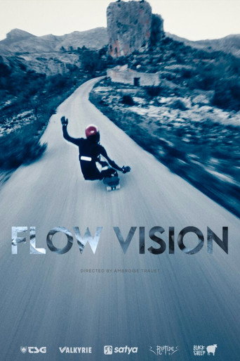 Flow Vision poster