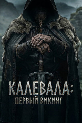 Poster 12