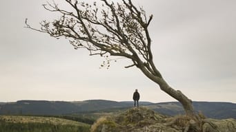 Galeria 5 - Ninfomaníaca - Vol. 2