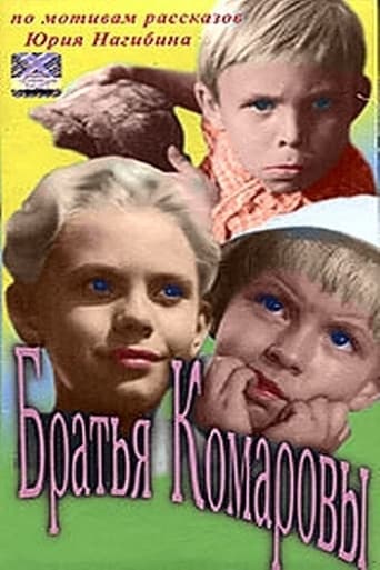 Poster of Братья Комаровы