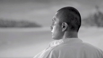Café paraíso (2008)