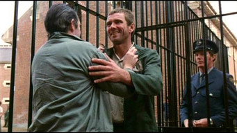 Hoodwink (1981)