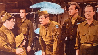 Рядові повертаються додому (1947)