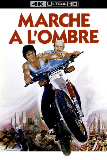 Poster 6
