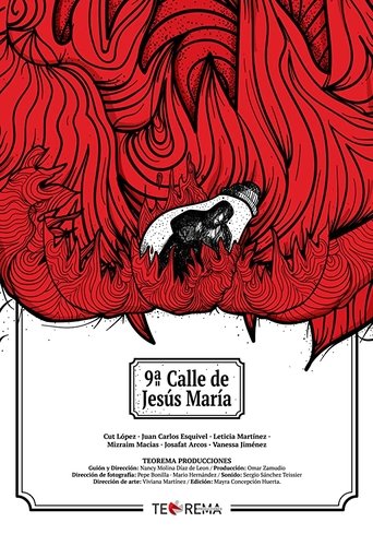 La novena calle de Jesús María poster