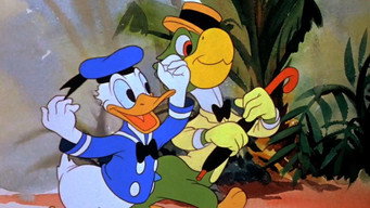 #15 Saludos Amigos