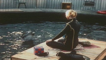 Люди і дельфіни (1984)