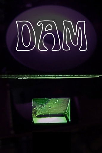 Dam (2025)