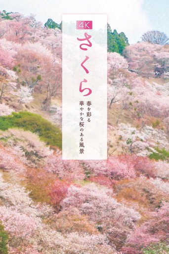 Sakura galeri 4