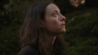 Forest High (2026)
