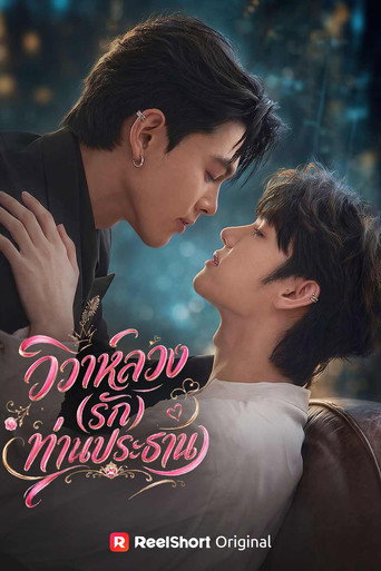 Fake Marriage, Love with the Chairman