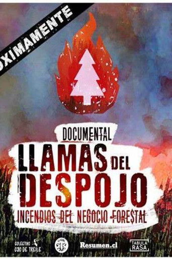 Llamas del Despojo poster