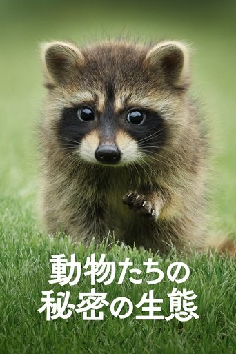 動物たちの秘密の生態