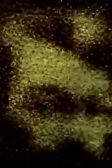 Saul's Shroud poster