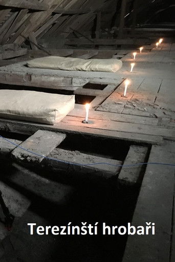 The Terezin Gravediggers (2020)