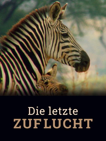 Die letzte Zuflucht poster